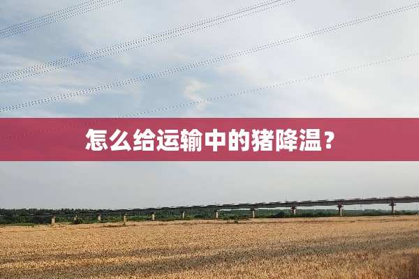 怎么给运输中的猪降温？