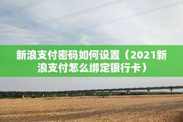新浪支付密码如何设置（2021新浪支付怎么绑定***）