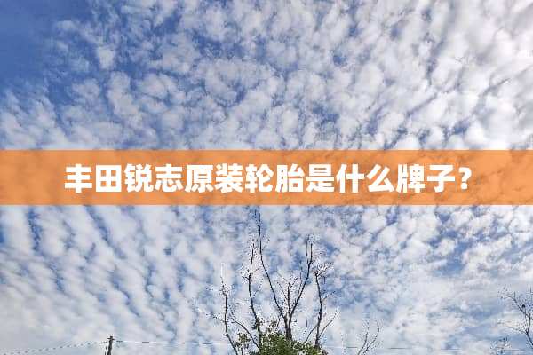 丰田锐志原装轮胎是什么牌子？