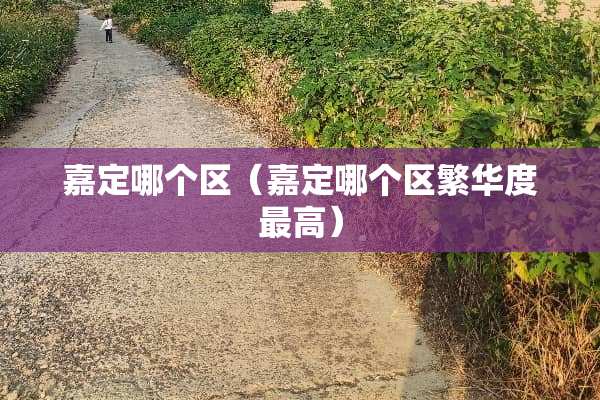 嘉定哪个区（嘉定哪个区繁华度最高）