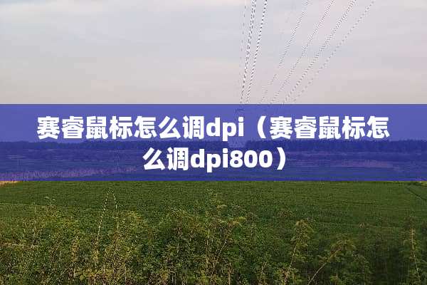 赛睿鼠标怎么调dpi（赛睿鼠标怎么调dpi800）