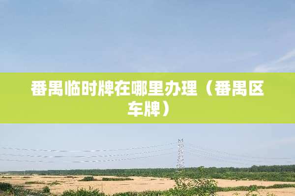 番禺临时牌在哪里办理（番禺区车牌）