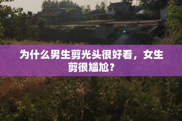 为什么男生剪光头很好看，女生剪很尴尬？