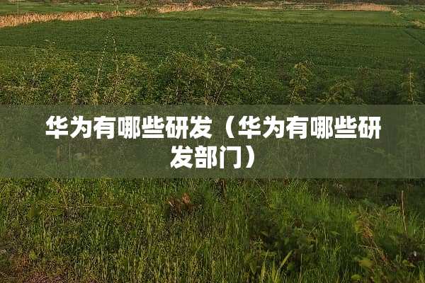 华为有哪些研发（华为有哪些研发部门）