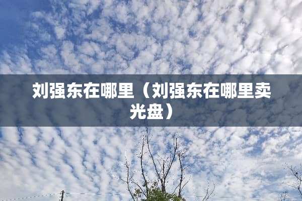 刘强东在哪里（刘强东在哪里卖光盘）