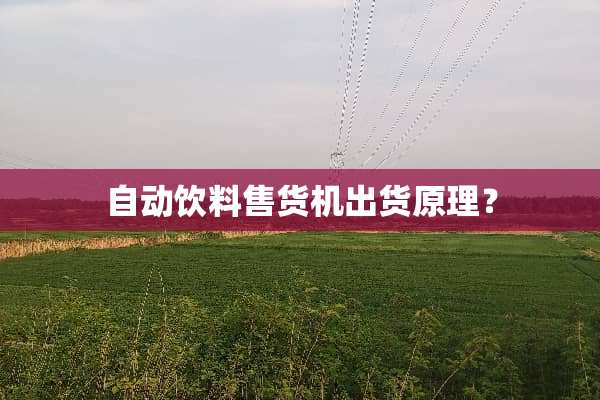 自动饮料售货机出货原理？