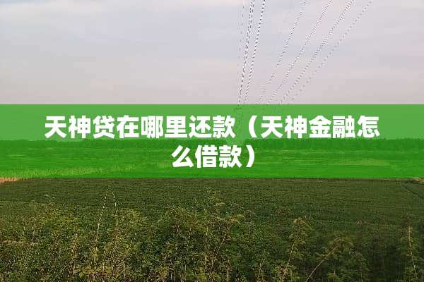 天神贷在哪里还款（天神金融怎么借款）