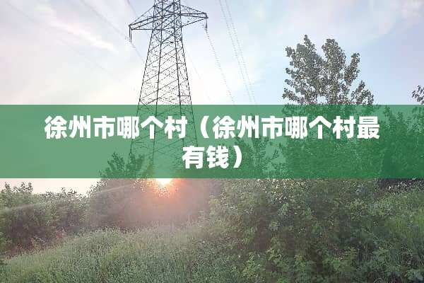 徐州市哪个村（徐州市哪个村最有钱）