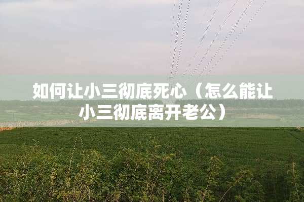 如何让小三彻底死心（怎么能让小三彻底离开老公）