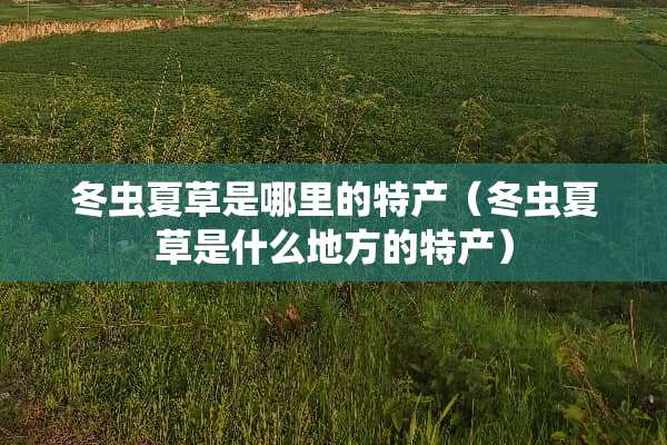冬虫夏草是哪里的特产（冬虫夏草是什么地方的特产）