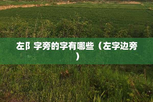 左阝字旁的字有哪些（左字边旁）