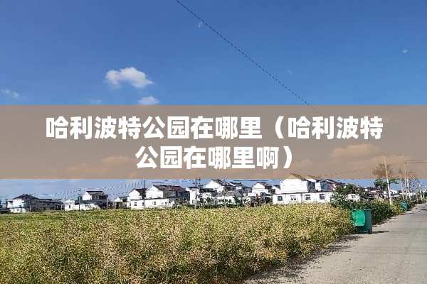 哈利波特公园在哪里（哈利波特公园在哪里啊）