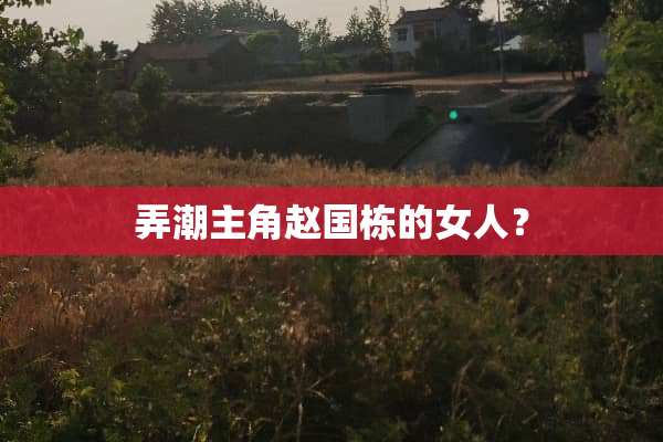 弄潮主角赵国栋的女人？