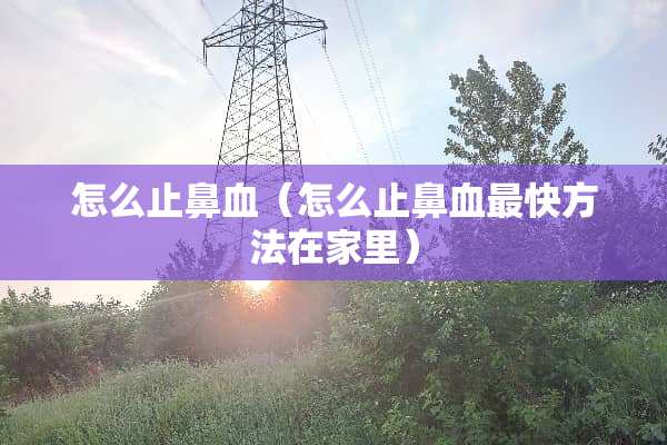 怎么止鼻血（怎么止鼻血最快方法在家里）