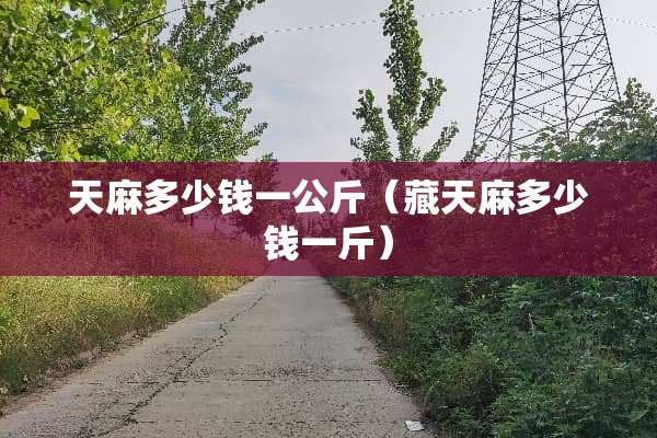 天麻多少钱一公斤（藏天麻多少钱一斤）