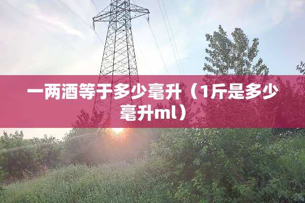 一两酒等于多少毫升（1斤是多少毫升ml）