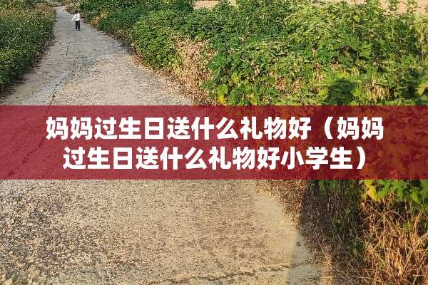 妈妈过生日送什么礼物好（妈妈过生日送什么礼物好小学生）