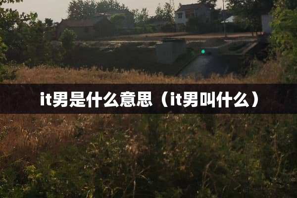 it男是什么意思（it男叫什么）
