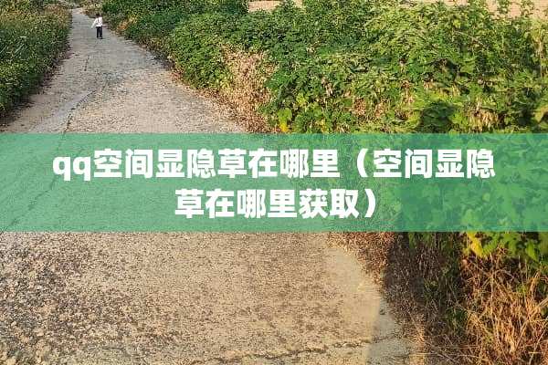 qq空间显隐草在哪里（空间显隐草在哪里获取）