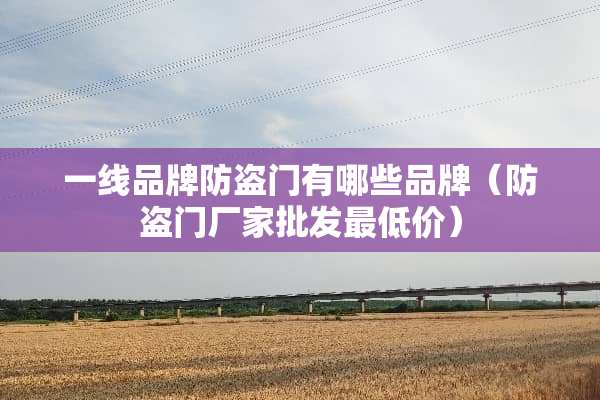 一线品牌防盗门有哪些品牌（防盗门厂家批发最低价）