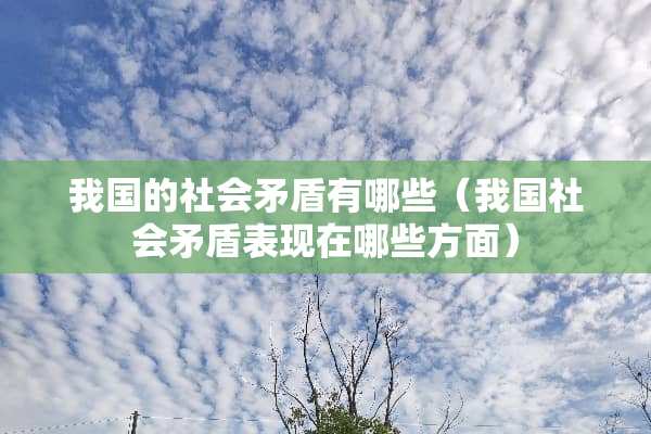 我国的社会矛盾有哪些（我国社会矛盾表现在哪些方面）