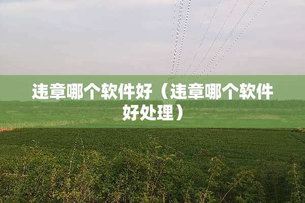 违章哪个软件好（违章哪个软件好处理）