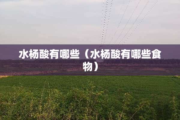 水杨酸有哪些（水杨酸有哪些食物）