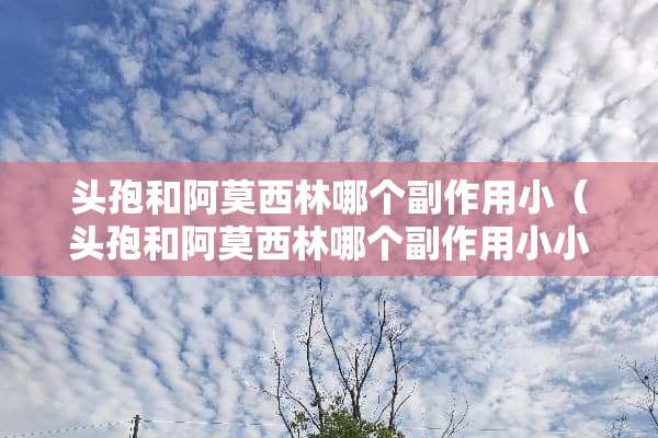 头孢和阿莫西林哪个副作用小（头孢和阿莫西林哪个副作用小小孩吃）