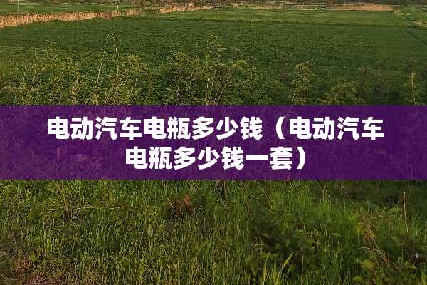 电动汽车电瓶多少钱（电动汽车电瓶多少钱一套）