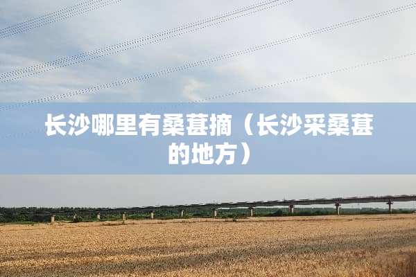 长沙哪里有桑葚摘（长沙采桑葚的地方）