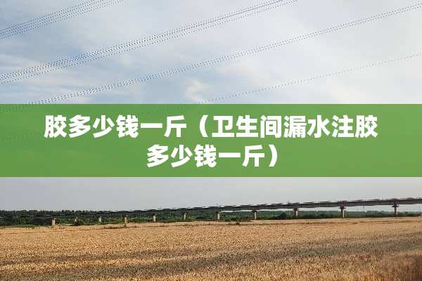 胶多少钱一斤（卫生间漏水注胶多少钱一斤）