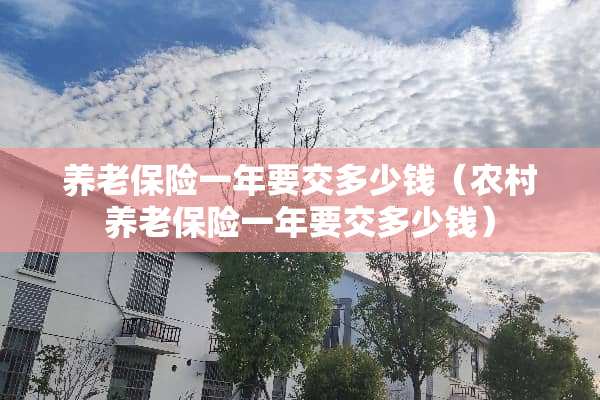 养老保险一年要交多少钱（农村养老保险一年要交多少钱）
