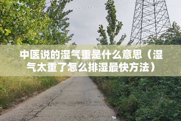 中医说的湿气重是什么意思（湿气太重了怎么排湿最快方法）