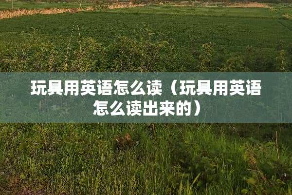 玩具用英语怎么读（玩具用英语怎么读出来的）