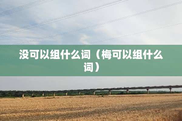 没可以组什么词（梅可以组什么词）