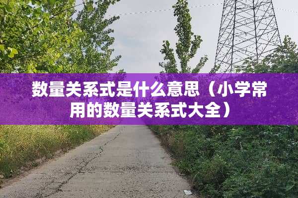 数量关系式是什么意思（小学常用的数量关系式大全）