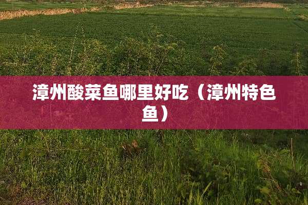 漳州酸菜鱼哪里好吃（漳州特色鱼）