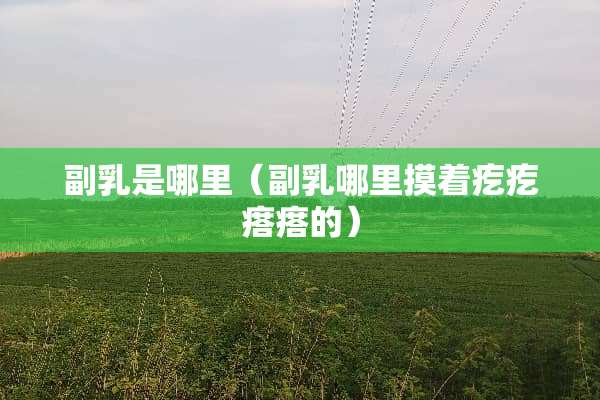 副*是哪里（副*哪里摸着疙疙瘩瘩的）