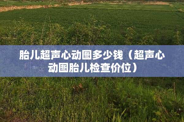 胎儿超声心动图多少钱（超声心动图胎儿检查价位）