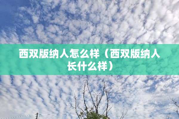 西双版纳人怎么样（西双版纳人长什么样）