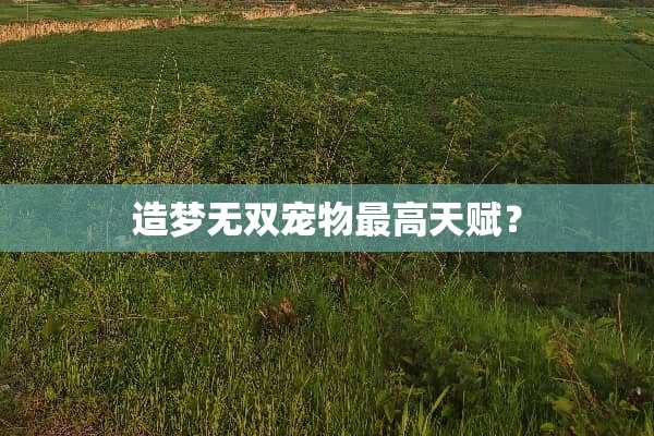 造梦无双宠物最高天赋？