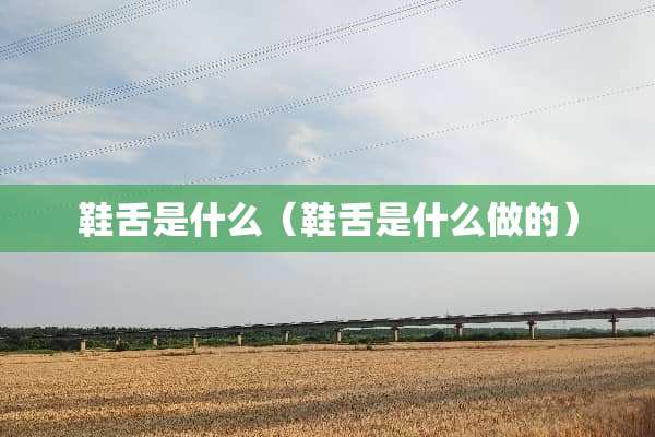 鞋舌是什么（鞋舌是什么做的）