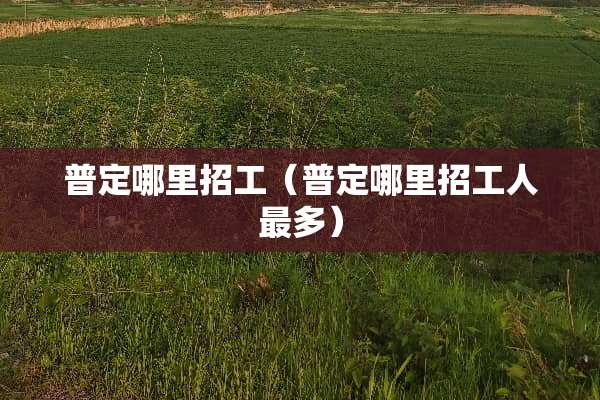 普定哪里招工（普定哪里招工人最多）