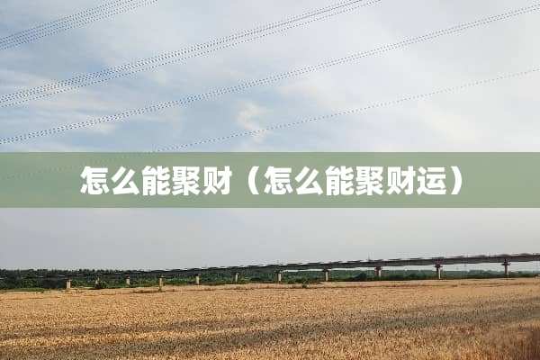怎么能聚财（怎么能聚财运）