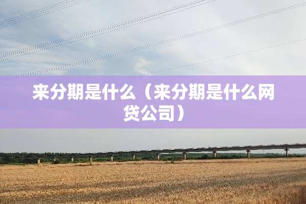 来分期是什么（来分期是什么**公司）
