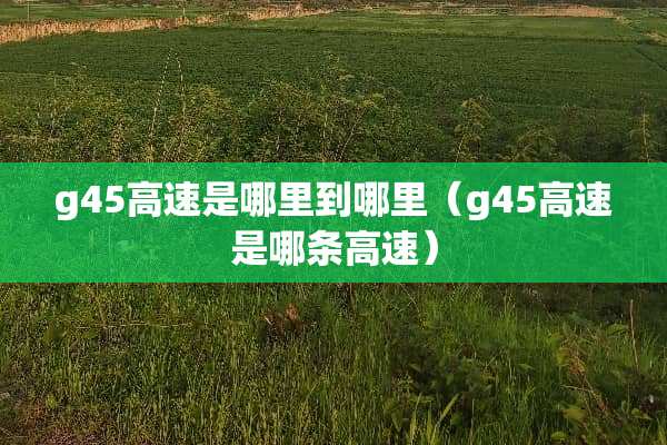 g45高速是哪里到哪里（g45高速是哪条高速）