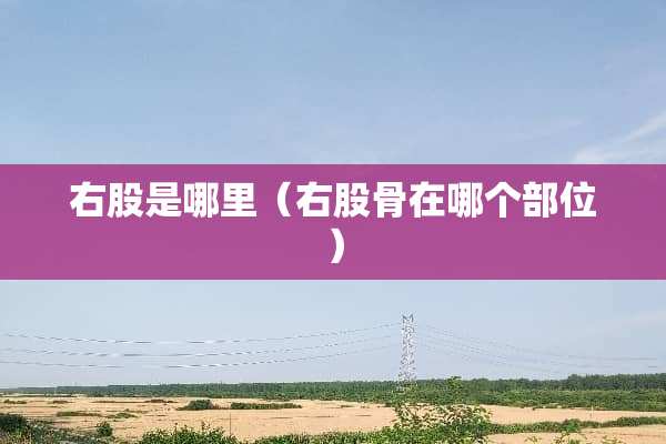 右股是哪里（右股骨在哪个部位）