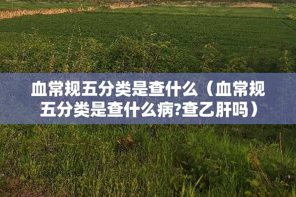 血常规五分类是查什么（血常规五分类是查什么病?查乙肝吗）