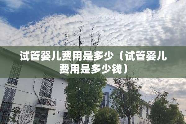 试管婴儿费用是多少（试管婴儿费用是多少钱）