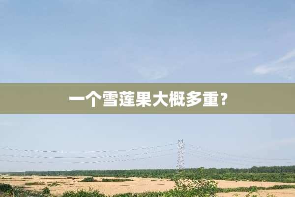 一个雪莲果大概多重？